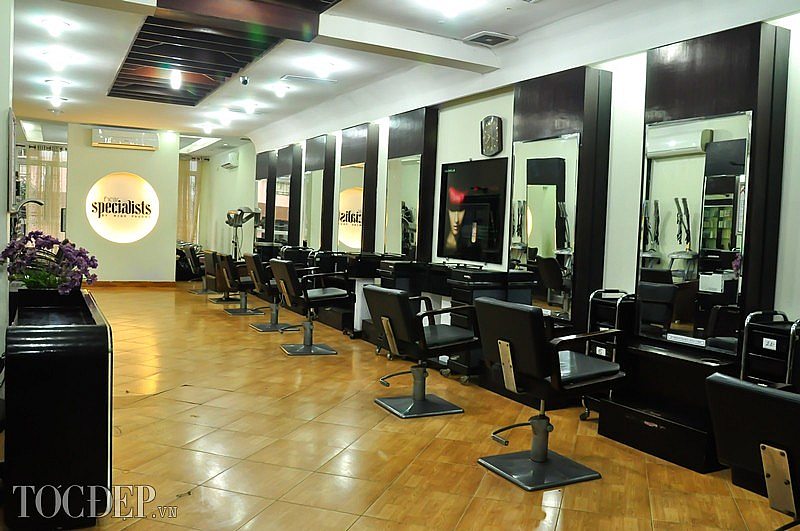 thiet ke salon toc