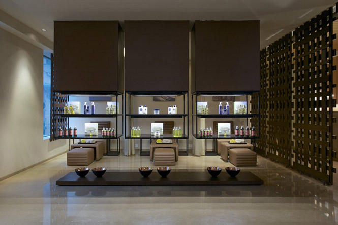thi công spa